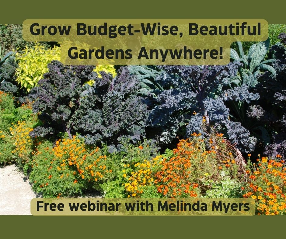 April Gardening Webinar