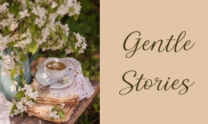 Binge Box: Gentle Stories