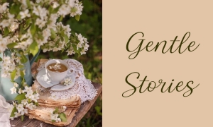 Binge Box: Gentle Stories Binge Box: Gentle Stories